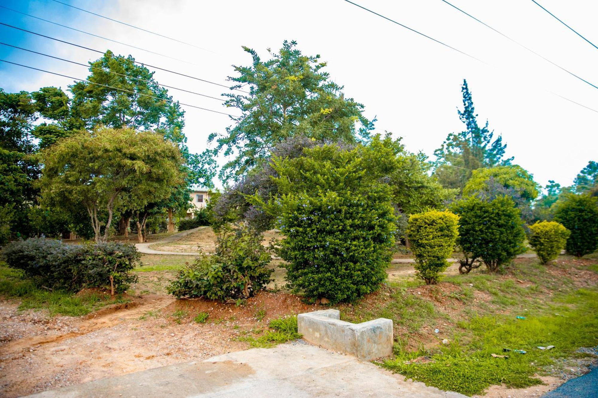 Sanctuary Aparthotel-Ac-Garden- Solar-Wi-Fi -Firepit-Park-Carport Lusaka Buitenkant foto