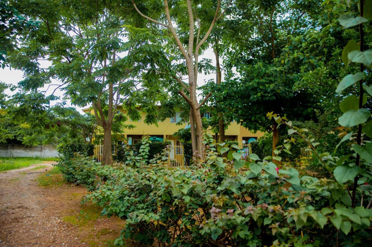 Sanctuary Aparthotel-Ac-Garden- Solar-Wi-Fi -Firepit-Park-Carport Lusaka Buitenkant foto